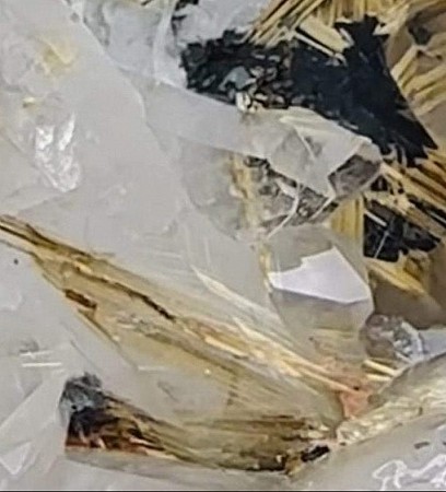 Tourmaline geschilderd door Diney Berg