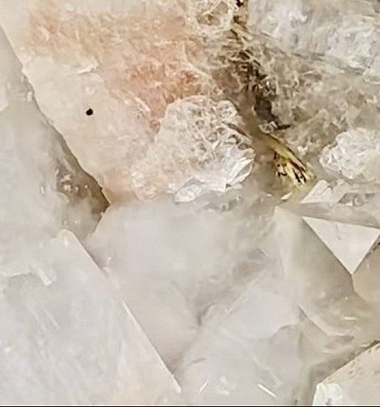 Crystal geschilderd door Diney Berg