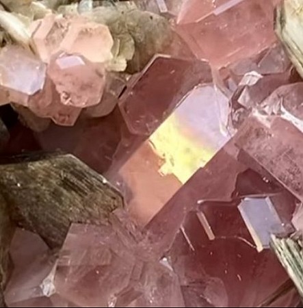 Gracefully geschilderd door Diney Berg